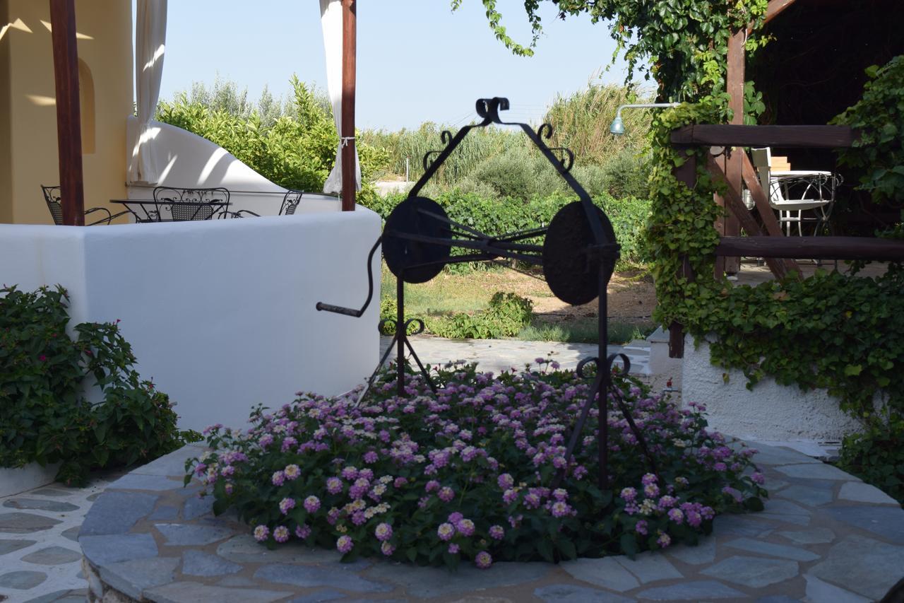 Tzane Studios & Apartments - Steps Away From Golden Beach Chrisi Akti  Luaran gambar